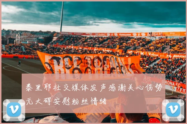 泰里耶社交媒体发声感谢关心伤势无大碍安慰粉丝情绪