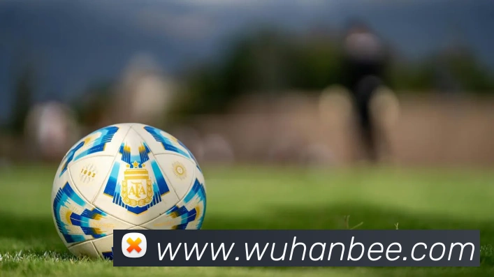 星空体育app官网入口网址平台生态图