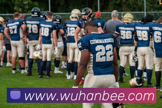 星空体育app官网入口网址APP 封面图