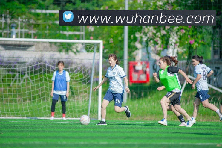 数据防护可视化